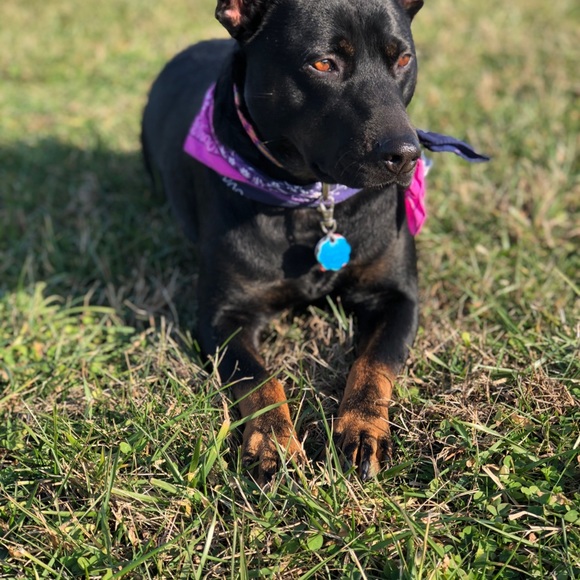 Meet your Posher, Natalie - Picture 12 of 13